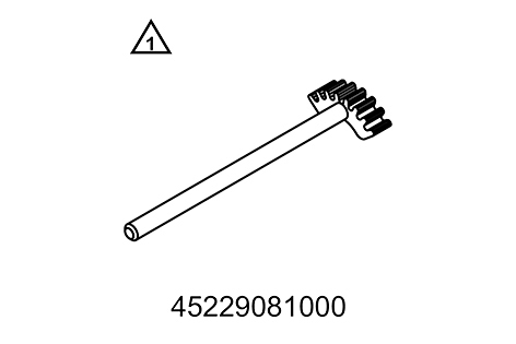 Segmento dentado