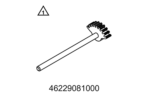 Segmento dentado