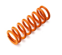 [91210054S] Shock absorber spring